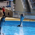 Marineland - Dauphins - 020